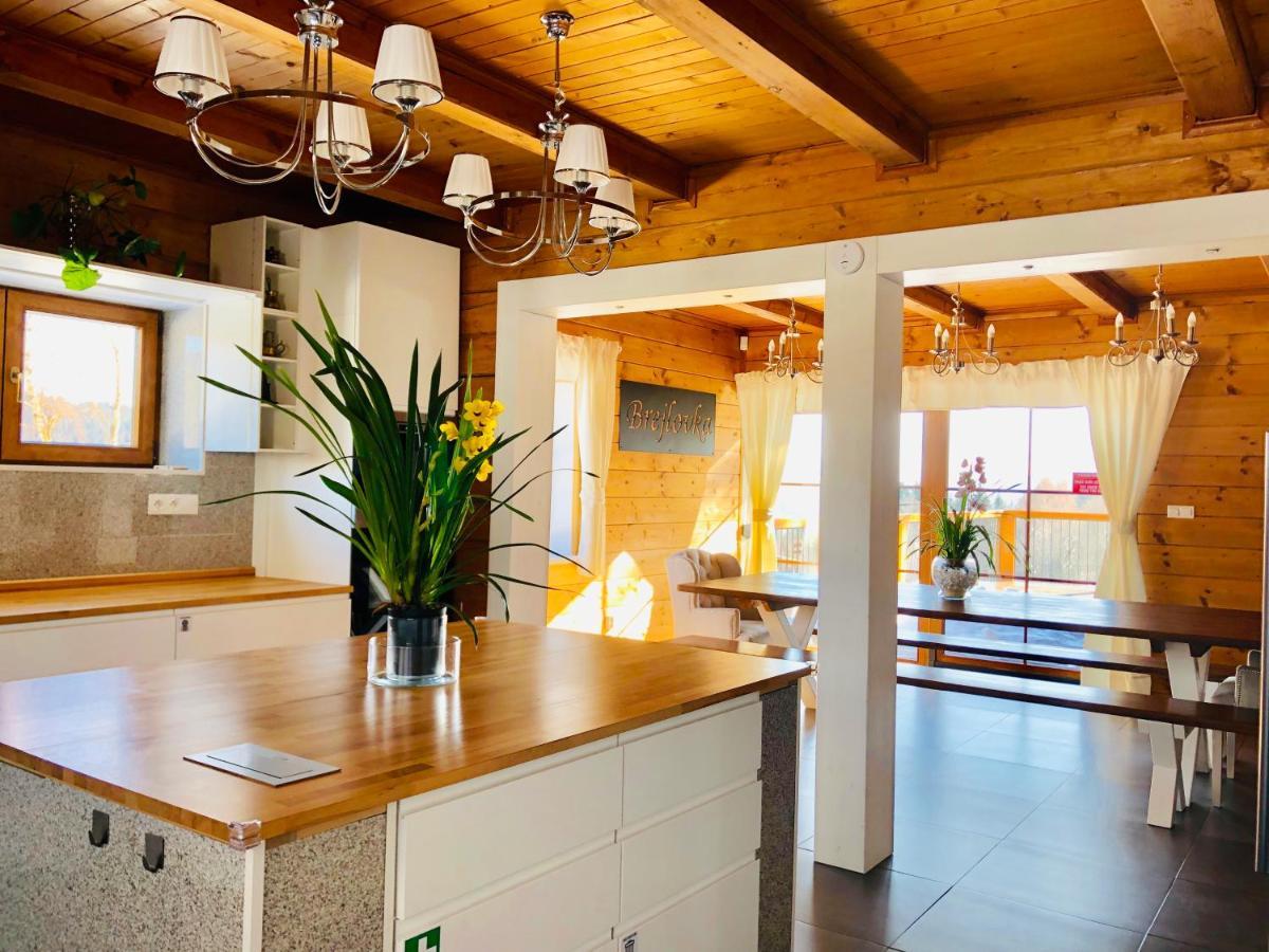 Wellness Chata Brejlovka Janov nad Nisou Extérieur photo